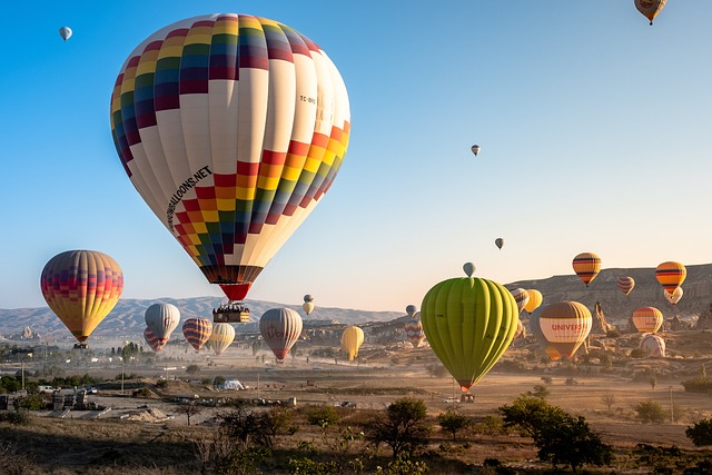 Colorful hot air balloons in the sky.