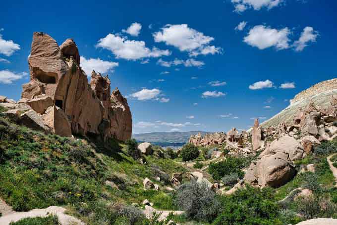 a rocky landscape with green plants and rocks
