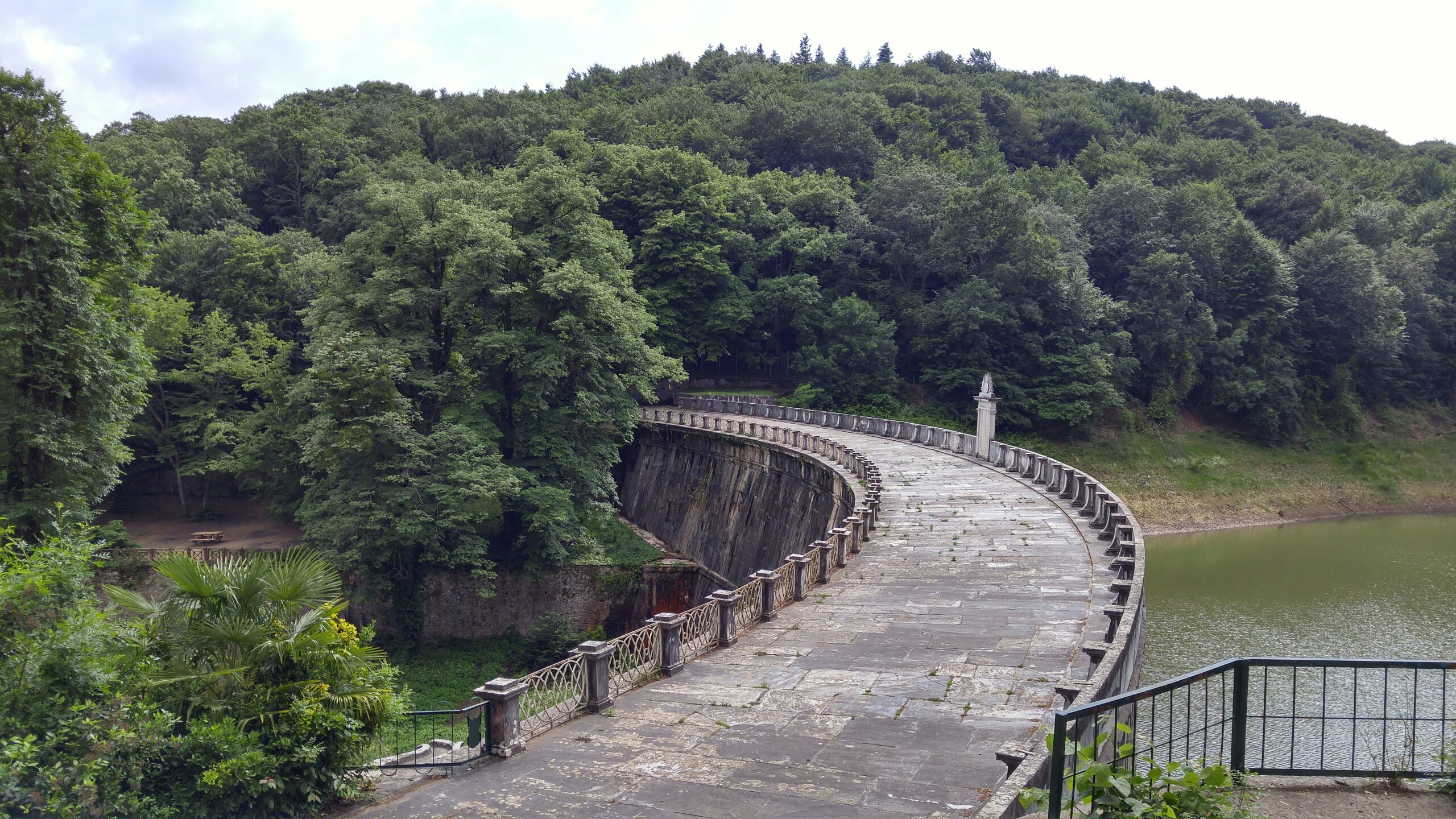 brown concrete bridge across green forest.