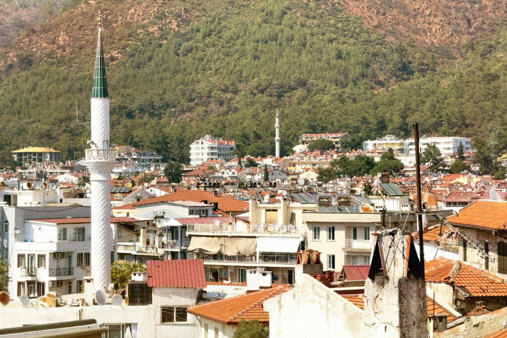 A view of a city with mountains in the background